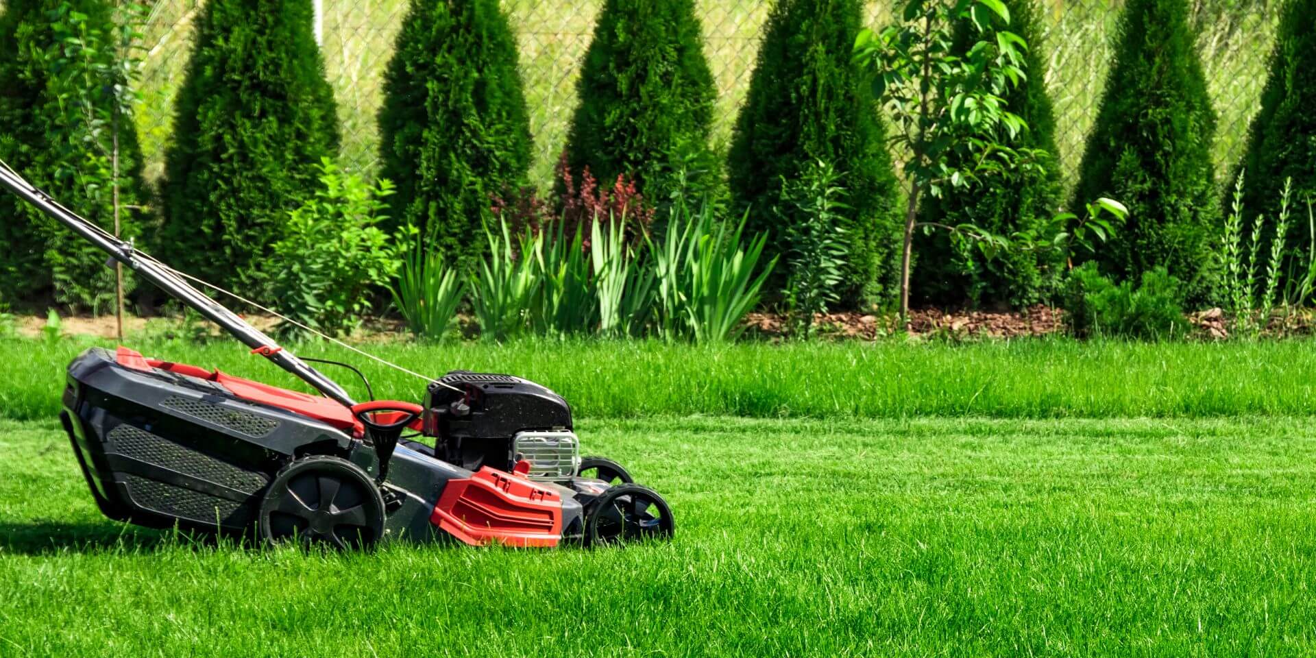 Push lawnmower being used to cut grass during summer